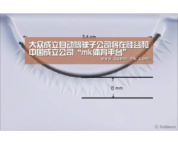 mk体育官网