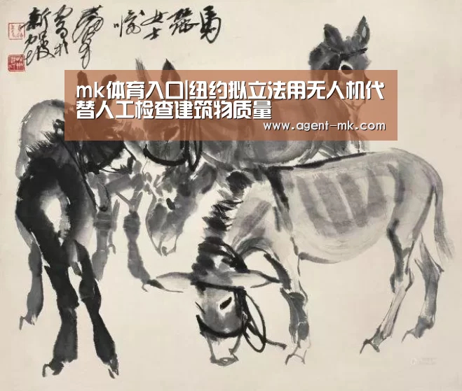 mk体育入口