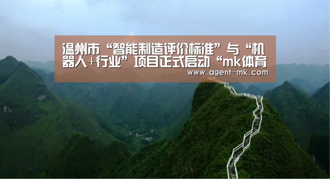 mk体育官网