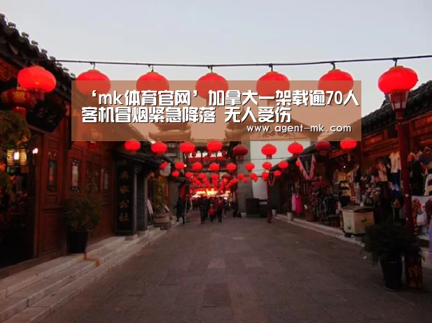 mk体育官网