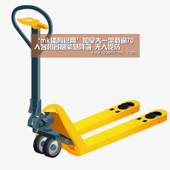 mk体育入口