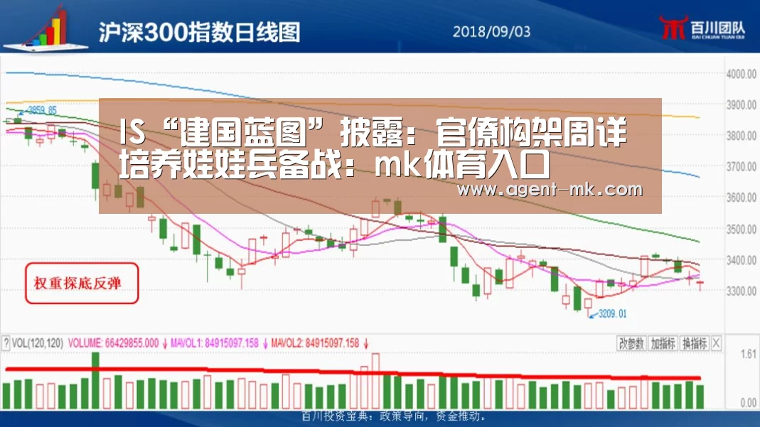 mk体育官网