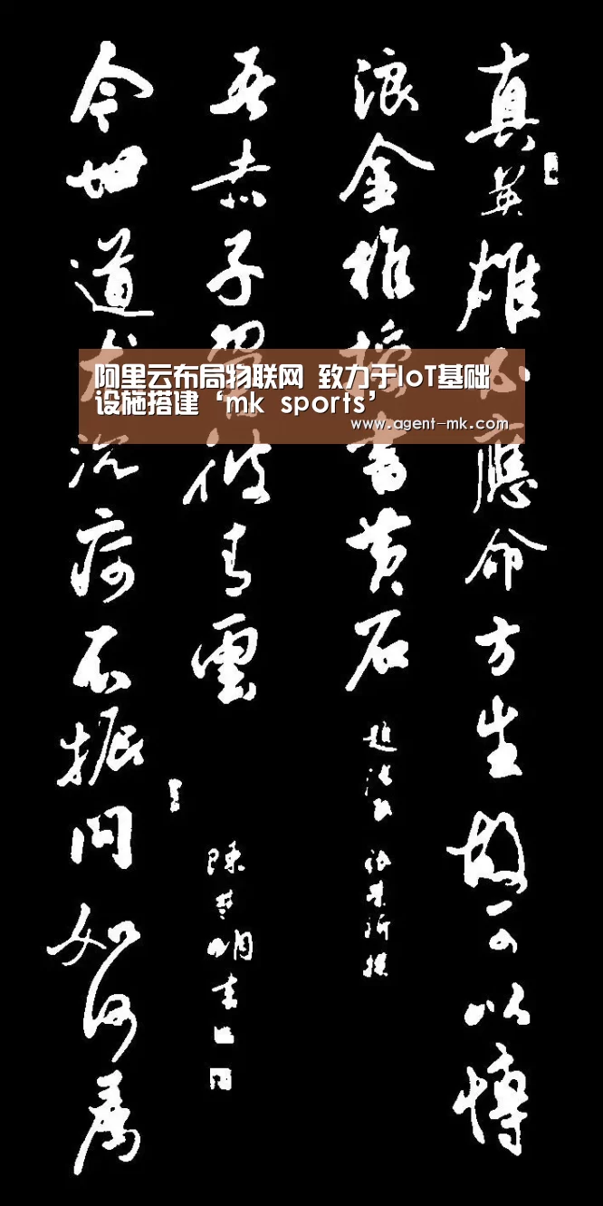 mk体育入口