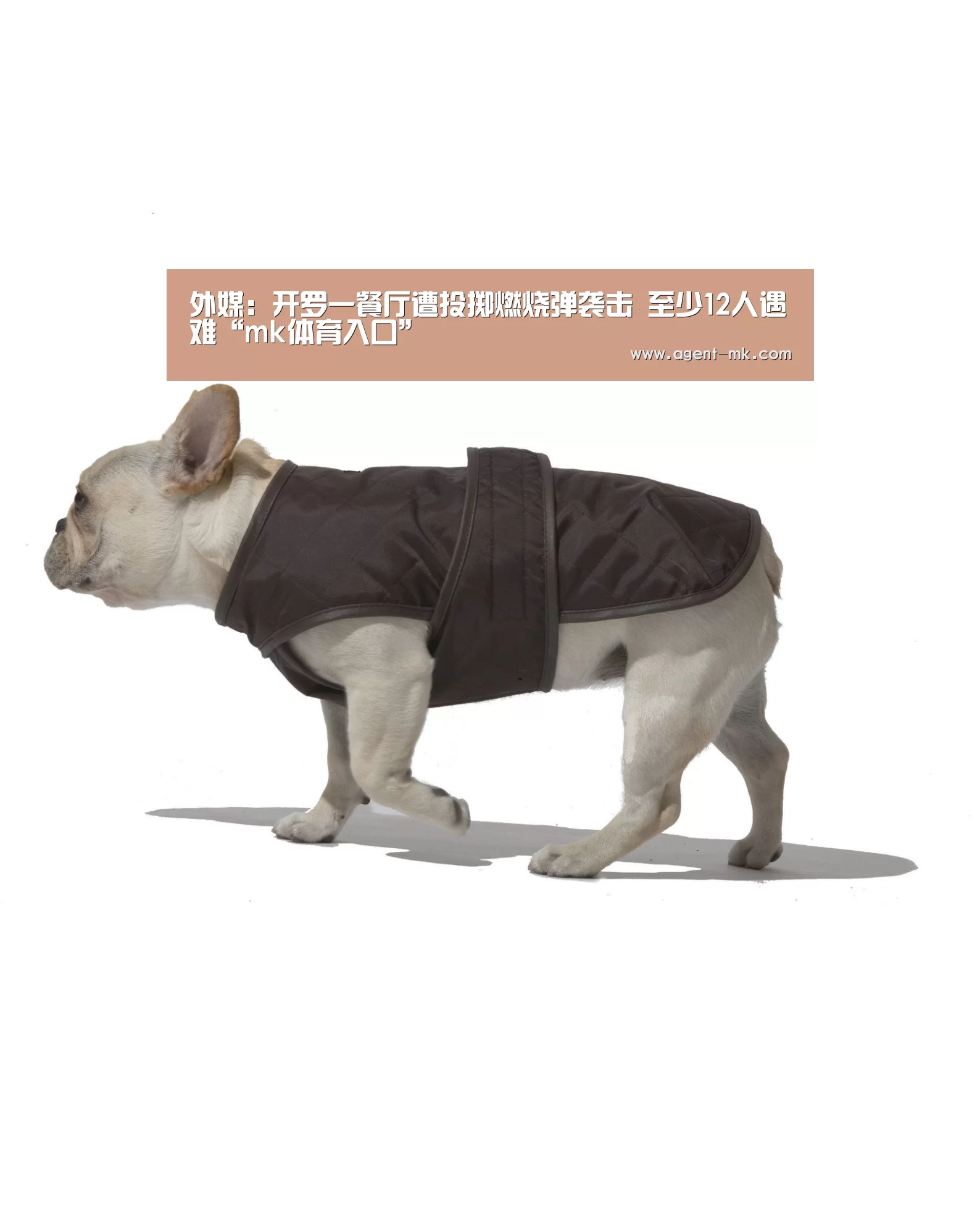 mk体育官网